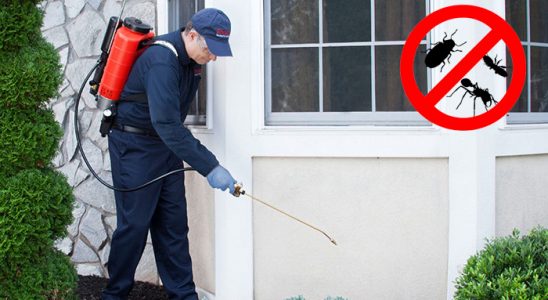 Erfelek Akrep İlaçlama böcek ilaçlama ve haşere kontrolü — ilaclama-tr.com